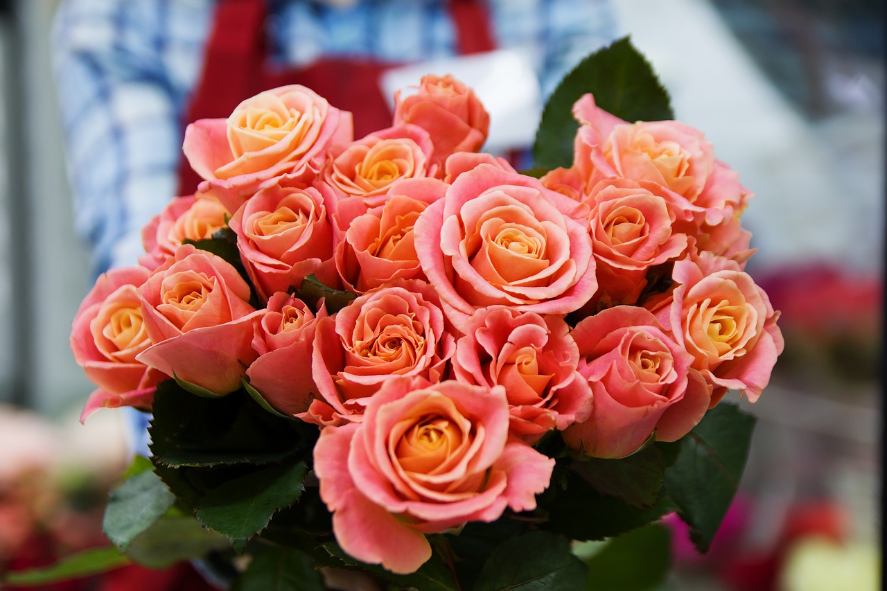 母の日のフラワーギフト 園芸好きのお母さんにはバラ鉢植えを贈ろう 消費者の視点 Consumer S View